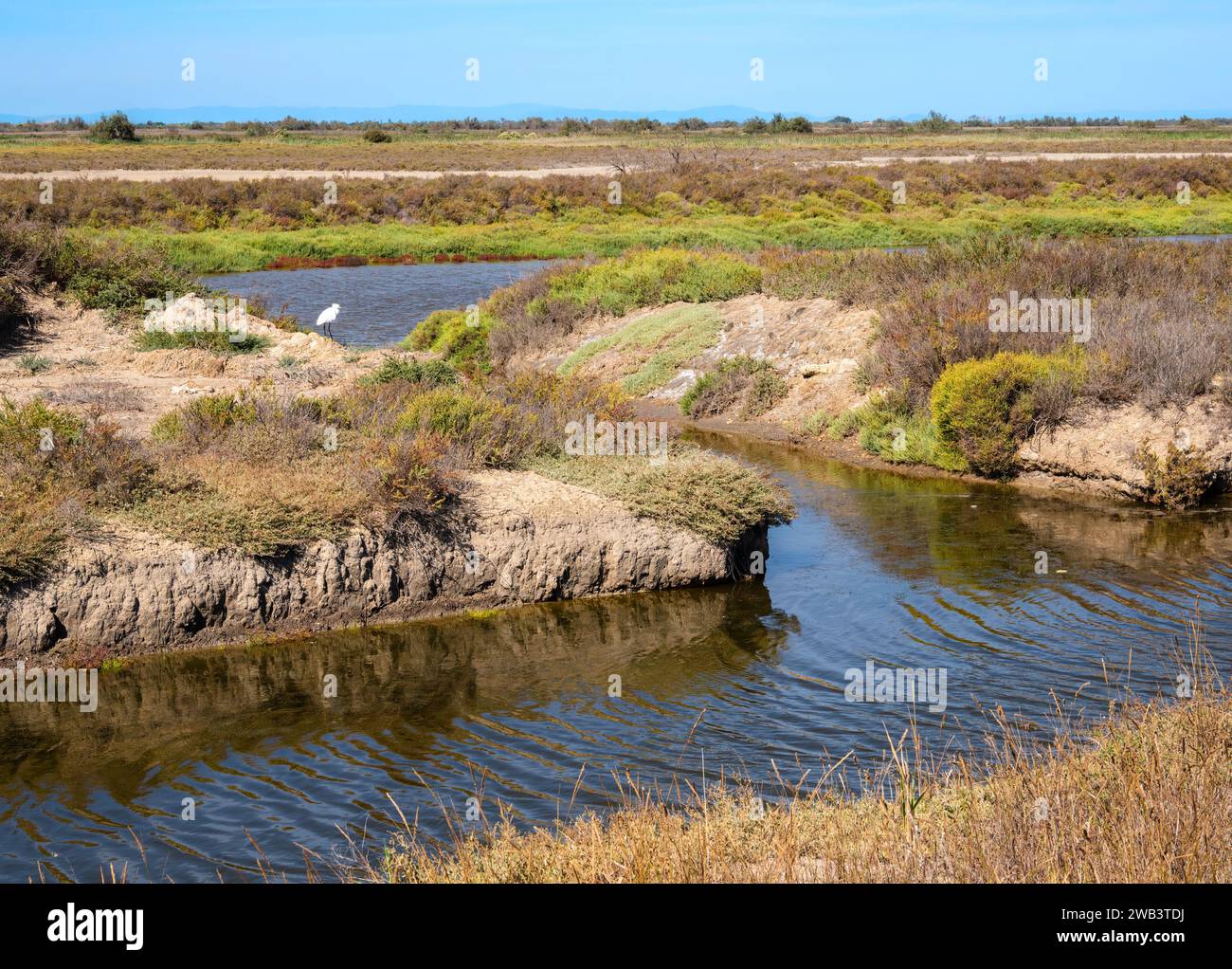 Die Camargue ist ein Naturschutzgebiet - Schwemmebene in der Provence in Südfrankreich. Bild einer trockenen Landschaft im Herbst Stockfoto