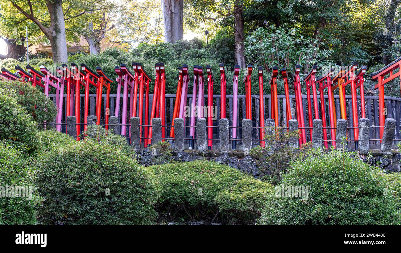 Otoome Inari Schrein Seitenansicht des Torii Stockfoto