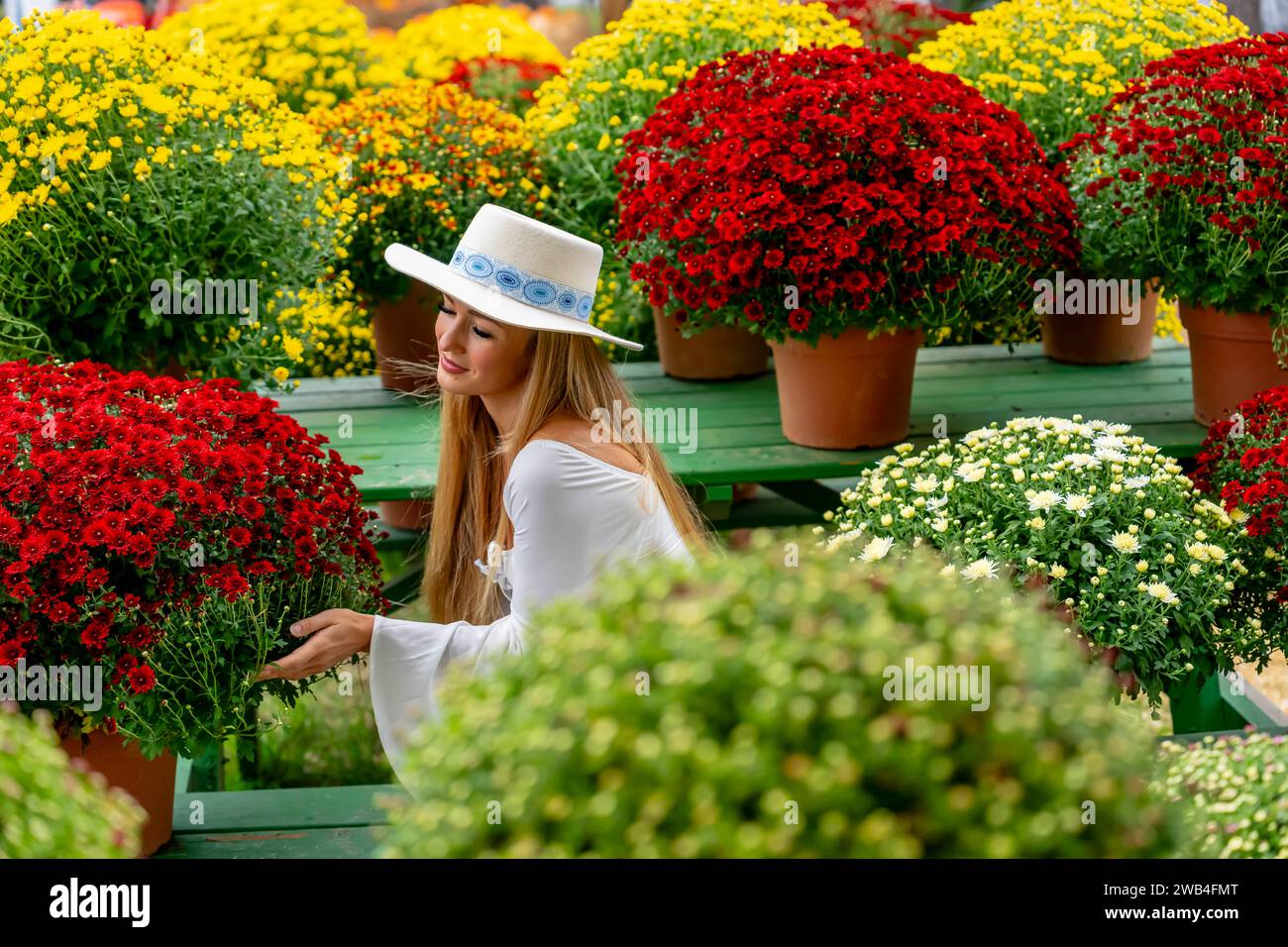 Pineville, NC, USA. Oktober 2023. Ein schönes europäisches blondes Weibchen fotografiert einige Blumen für die kommenden Herbstfeste (Credit Image: © Walter G Arce SR Grindstone Medi/ASP) NUR REDAKTIONELLE VERWENDUNG! Nicht für kommerzielle ZWECKE! Stockfoto