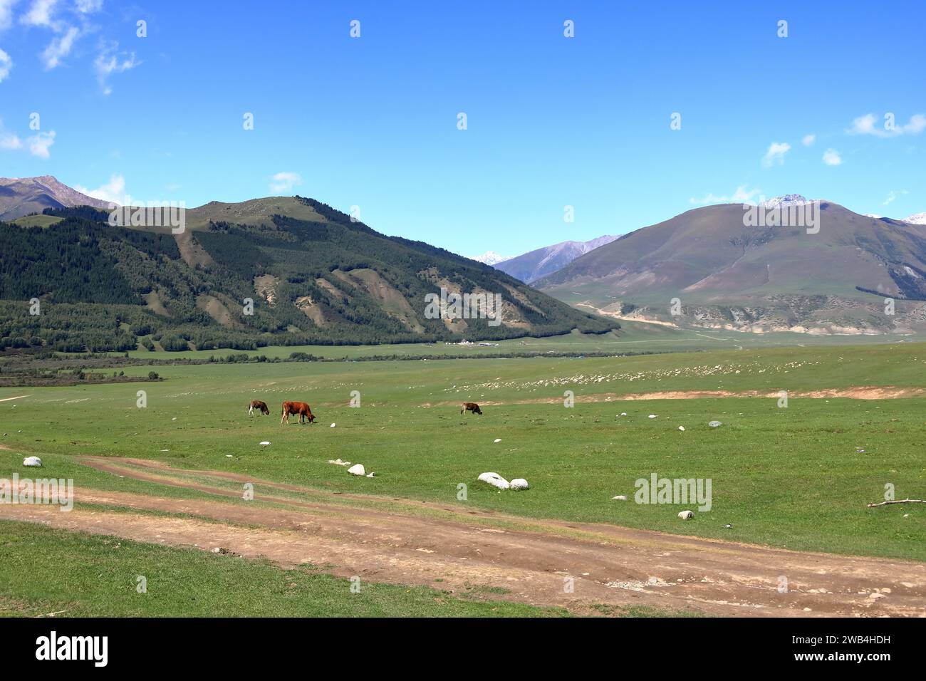 Kyrchyn-Schlucht im Norden Kirgisistans in Zentralasien Stockfoto
