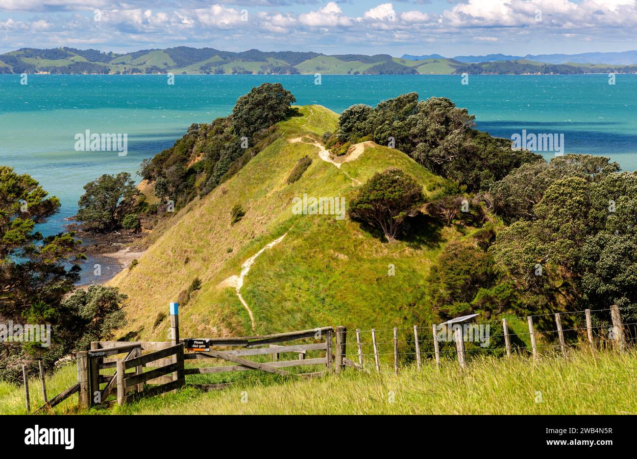 Landschaft mit Toren, Zäunen und einem Wanderweg auf einem Bauernhof im Duder Regional Park, Nordinsel, Neuseeland. Der Wanderweg führt zum h Stockfoto