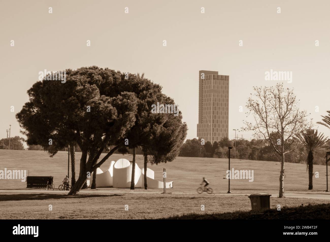 Ein großer Park im Stadtzentrum mit breiten grünen Rasenflächen, Fahrrad-, Wander- und Joggingwegen. Im Hintergrund befinden sich die Bürotürme der Stadt. Stockfoto