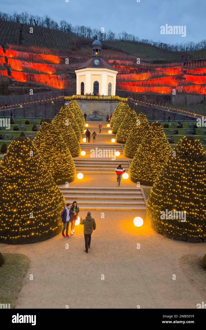 Unter dem Motto Wein & Licht verwandeln von November 2023 bis Februar 2024 wieder rund 5,000 Lichtpunkte sowie zahlreiche Herrnhuter Sterne das Ensemble aus Weinbergen und der Barocken Anlage zwischen Schloss und Belvedere in einer zauberhaften Welt aus strahlendem Glanz, Musik und Genuss. *** Von November 2023 bis Februar 2024 verwandeln rund 5.000 Lichtpunkte und zahlreiche Herrnhuter Sterne das Weinbauensemble und das barocke Gelände zwischen Schloss und Belvedere erneut in eine magische Welt von strahlender Pracht, Musik und Genuss unter dem Motto Weinlicht Stockfoto