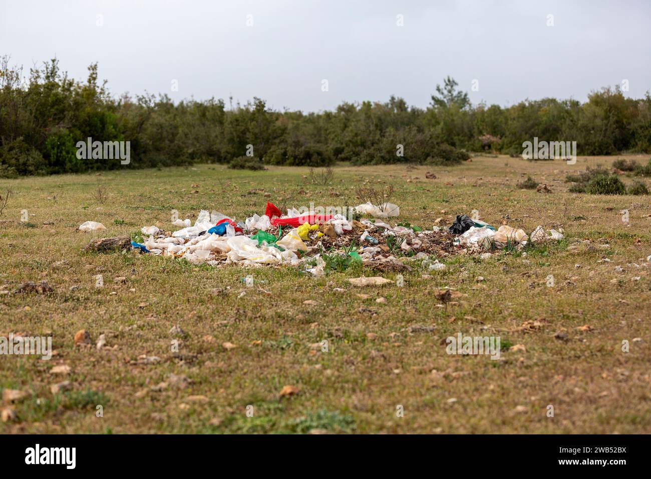 Müll, der in die Umwelt geworfen wird. Umweltbelastende Natur Stockfoto