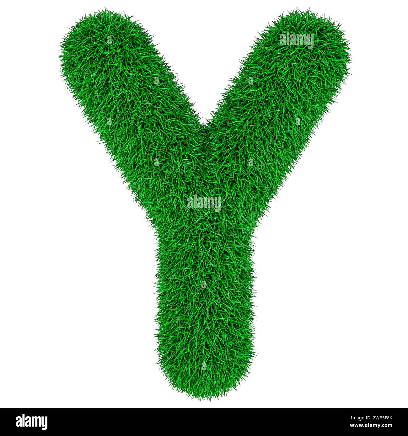 Grüner Gras Buchstabe Y, 3D-Rendering isoliert auf weißem Hintergrund Stockfoto