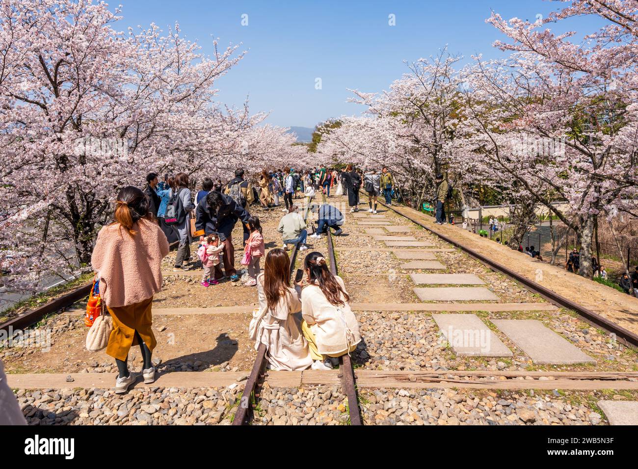 Die Menschen genießen Kirschblüten entlang der stillgelegten Bahnstrecke Keage Incline. Kyoto, Japan. Stockfoto
