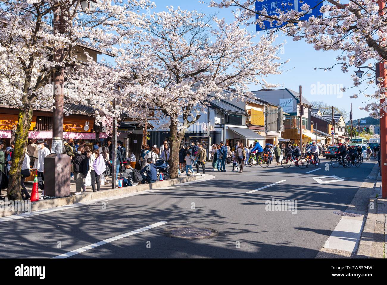 Leute, die Kirschblüten im Bezirk Arashiyama genießen. Kyoto, Japan Stockfoto