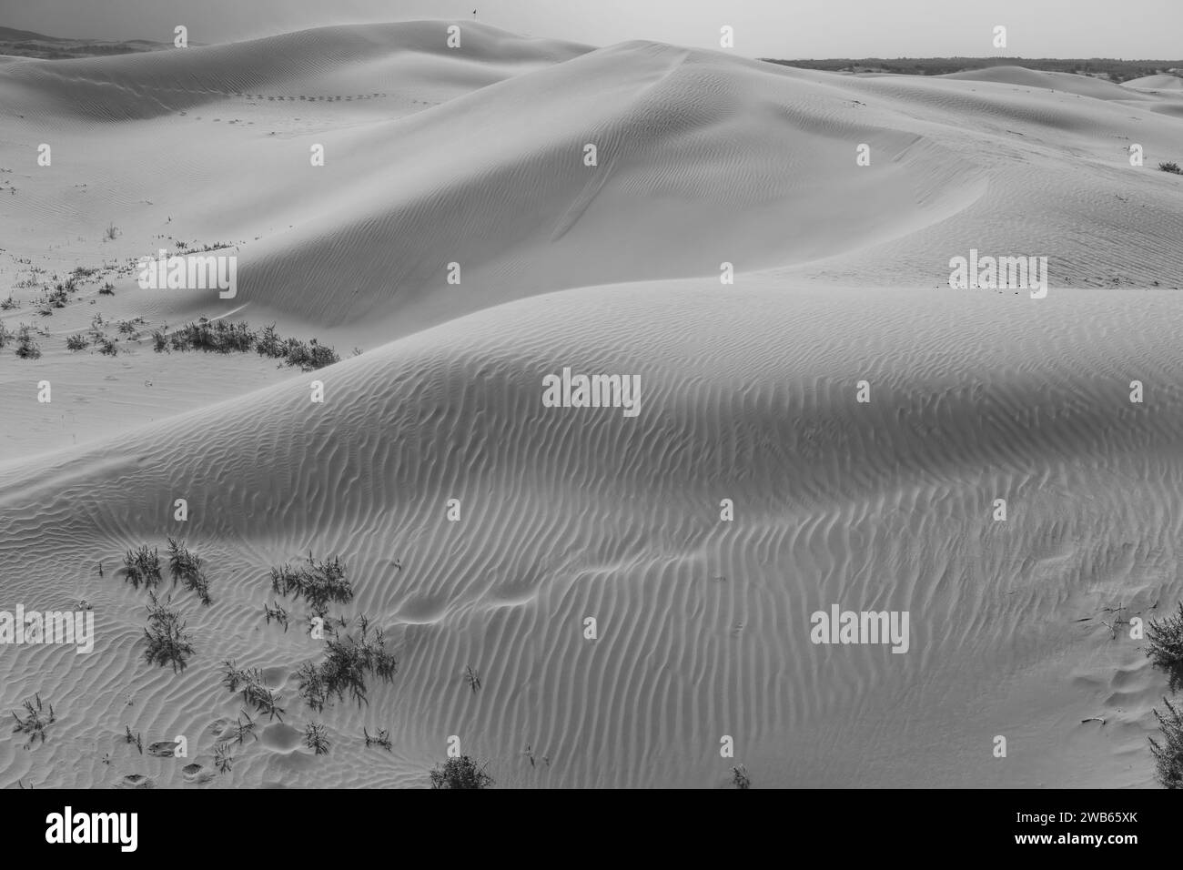 Wunderschöne unberührte Sanddünen in der Inneren Mongolei, China. Hintergrundbild, Hintergrundbild mit Kopierraum für Text, Schwarzweiß Stockfoto