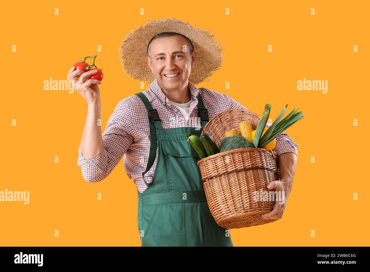 Reifer Landwirt mit Korb mit frischem Gemüse auf gelbem Hintergrund Stockfoto