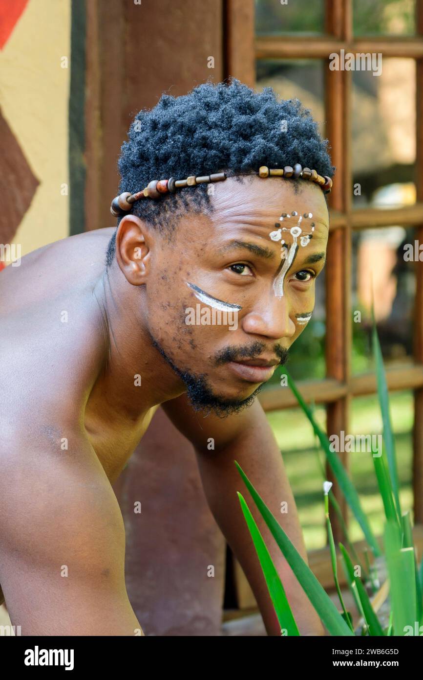 Porträt eines erwachsenen männlichen Künstlers, Lesedi Cultural Village, Lanseria, Gauteng, Südafrika Stockfoto