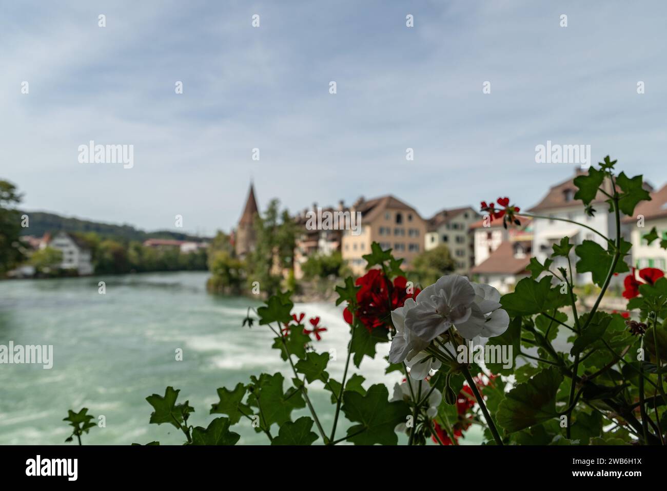 Bremgarten, Kanton Aargau, Schweiz, 3. September 2023 schöne Aussicht entlang der Reuss in der Innenstadt an einem sonnigen Tag Stockfoto