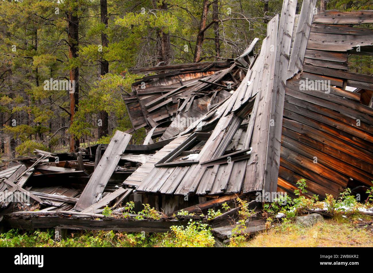 Coolidge Ghost Town, Beaverhead Deerlodge National Forest, Montana Stockfoto