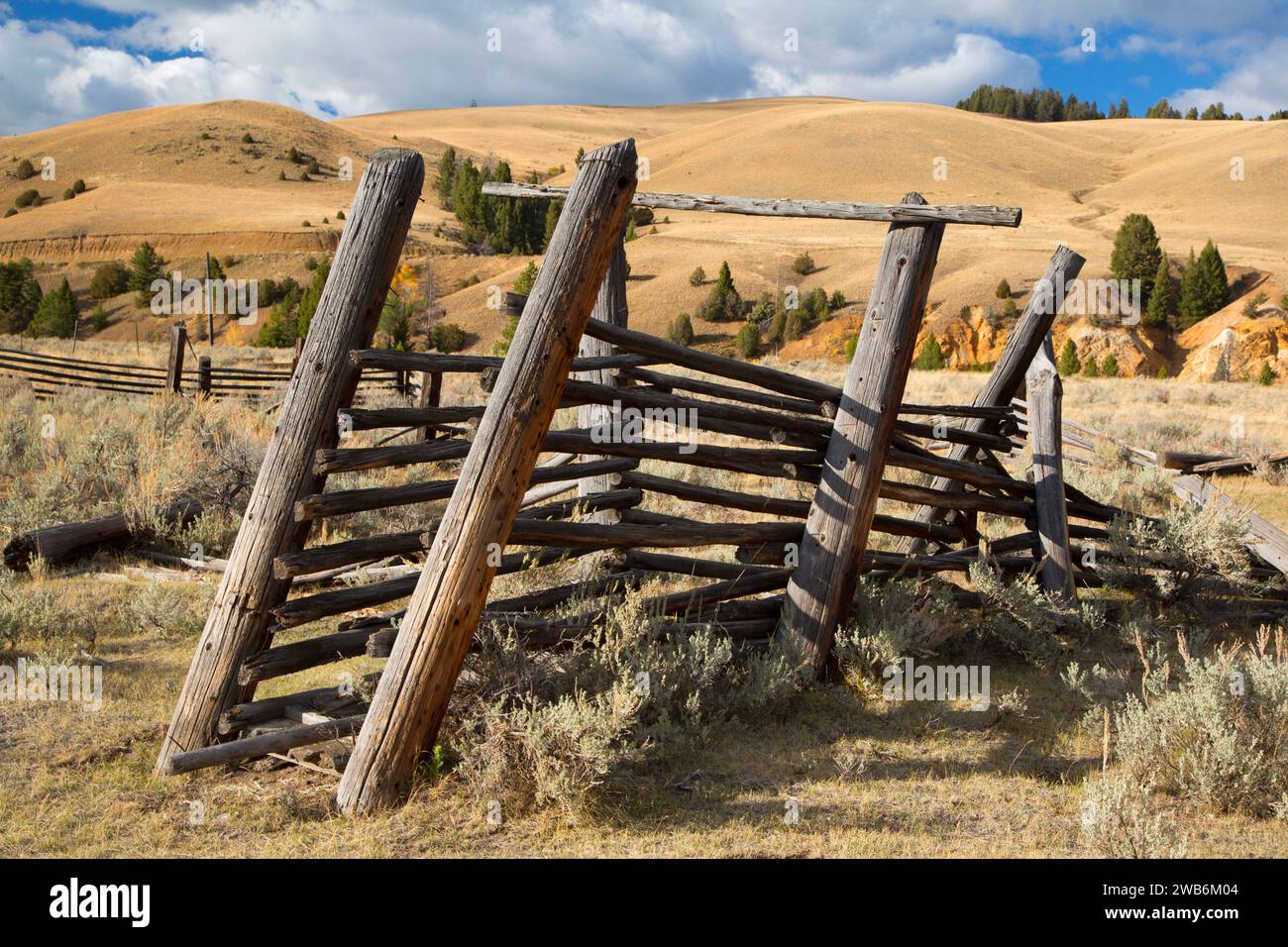 Corral auf Carlson Ranch, Beaverhead-Deerlodge National Forest, Montana Stockfoto