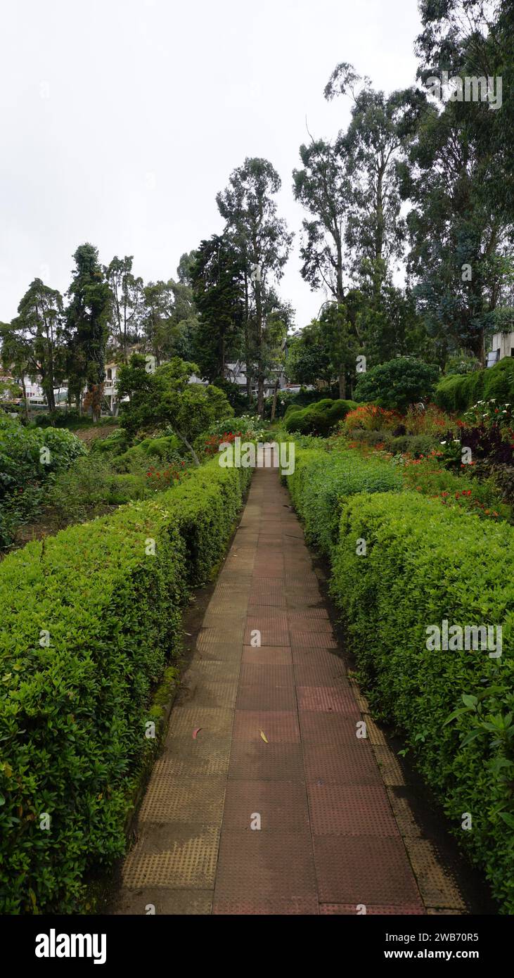 Schöner landschaftlicher Garten des Chettiar Park, Kodaikanal. Komplett bedeckt mit üppigem Grün und exquisiter landschaftlicher Aussicht überall. Stockfoto