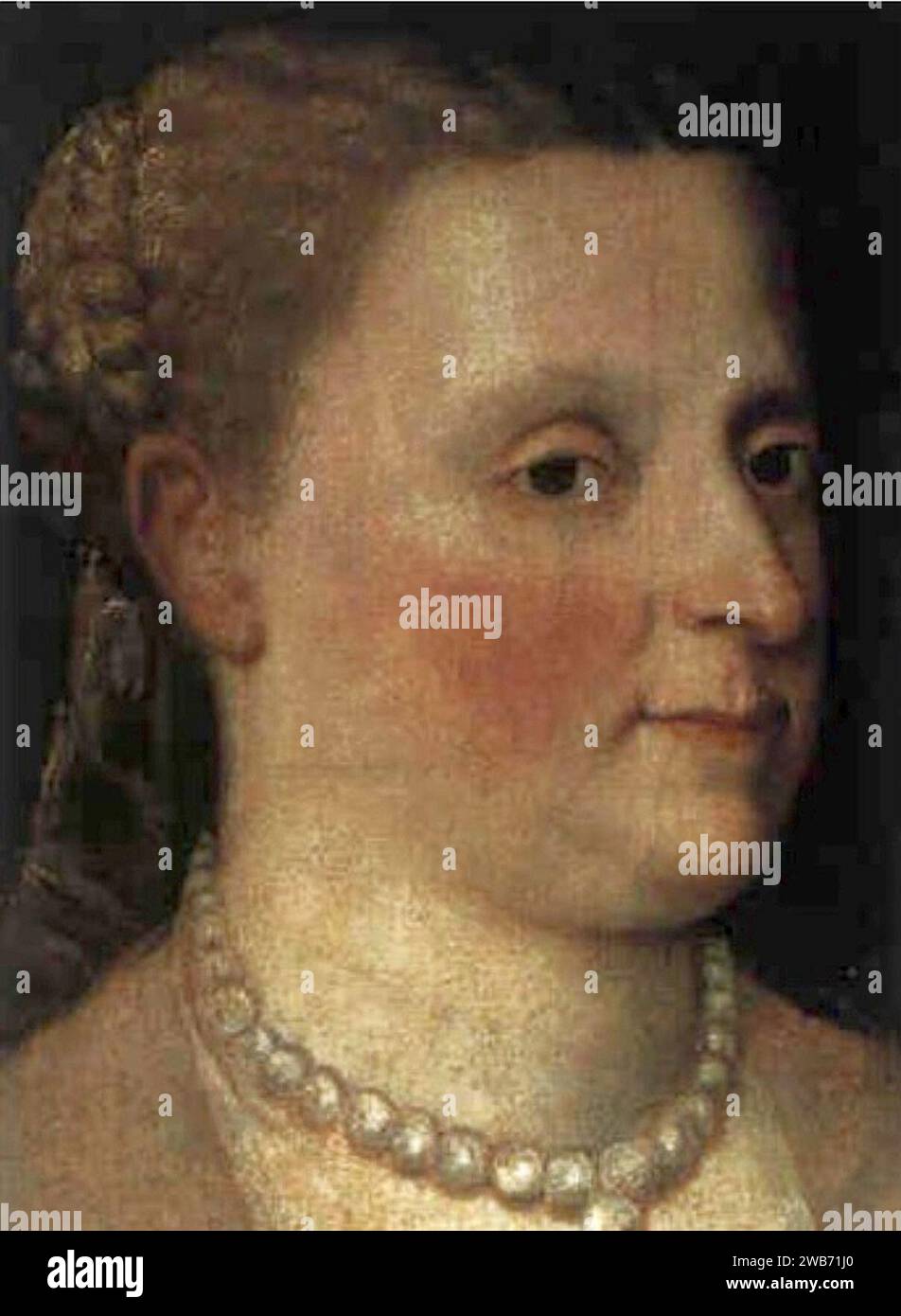 Anonym - Porträt einer Dame, höchstwahrscheinlich Anna Jagiellon (1523-1596). Stockfoto