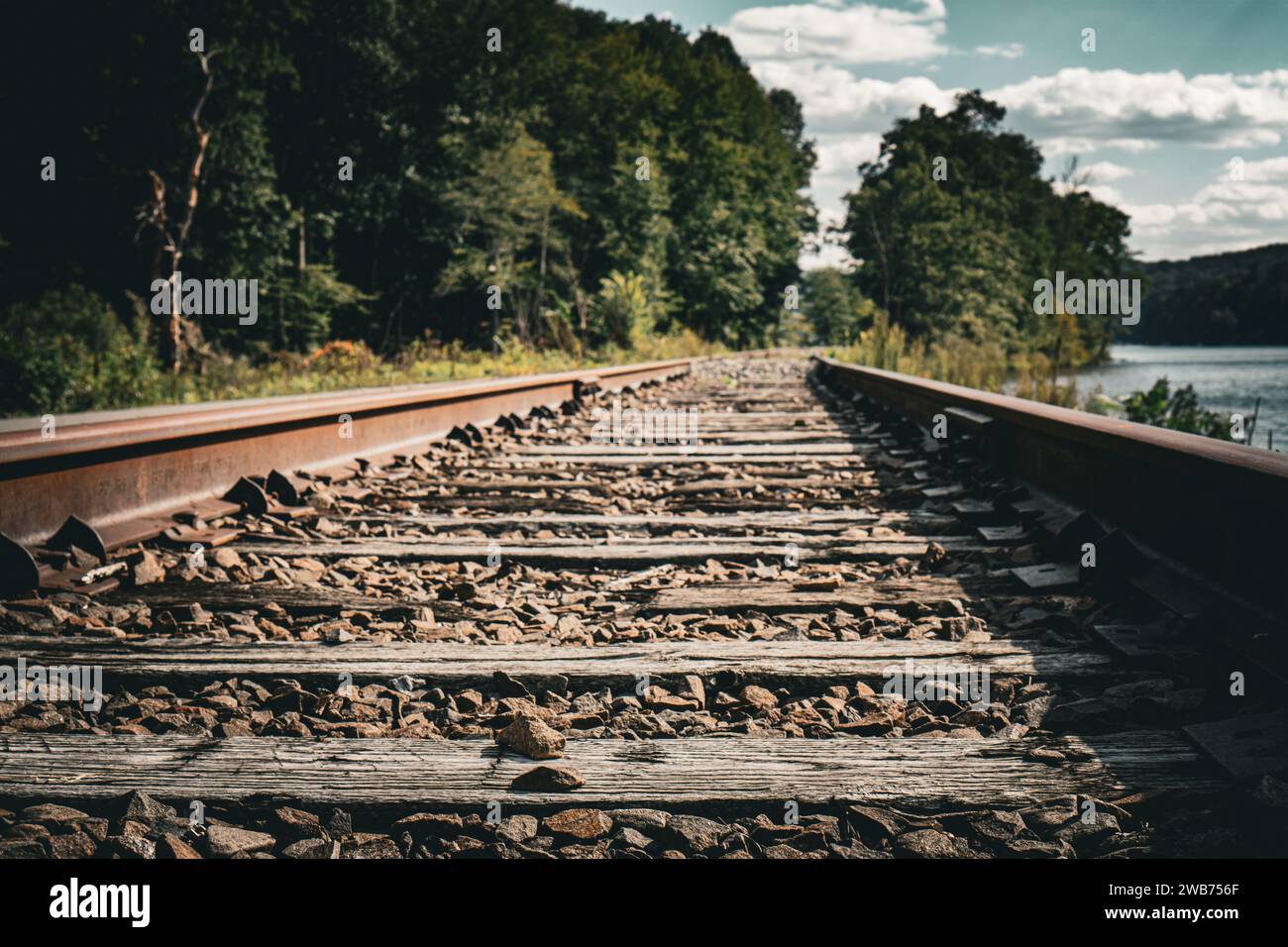 Blick auf alte, ungenutzte Bahngleise in Waldgebieten an einem schönen Tag Stockfoto