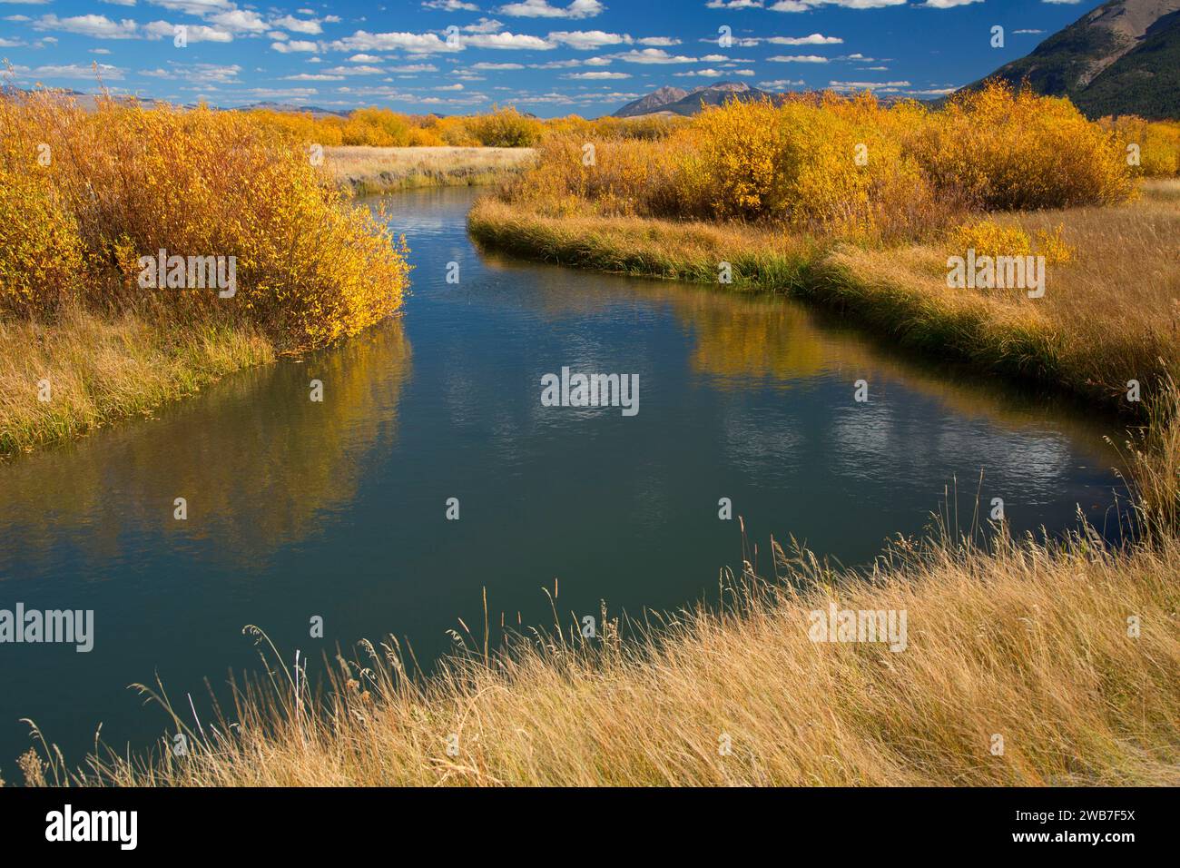 Odell Creek entlang Sparrow Teiche, Red Rock Lakes National Wildlife Refuge, Montana Stockfoto
