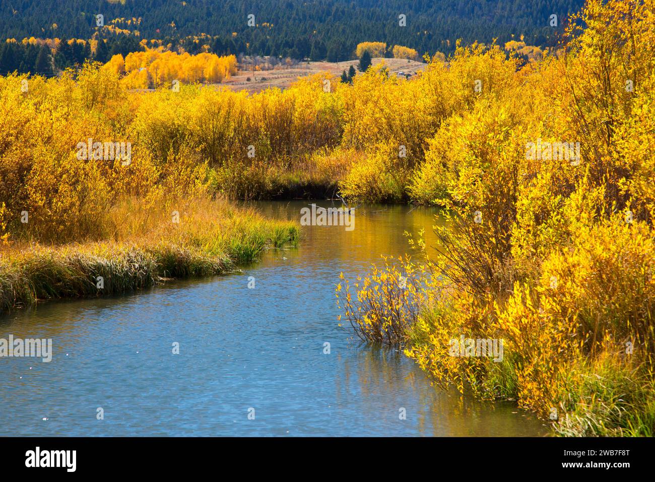 Odell Creek entlang Sparrow Teiche, Red Rock Lakes National Wildlife Refuge, Montana Stockfoto