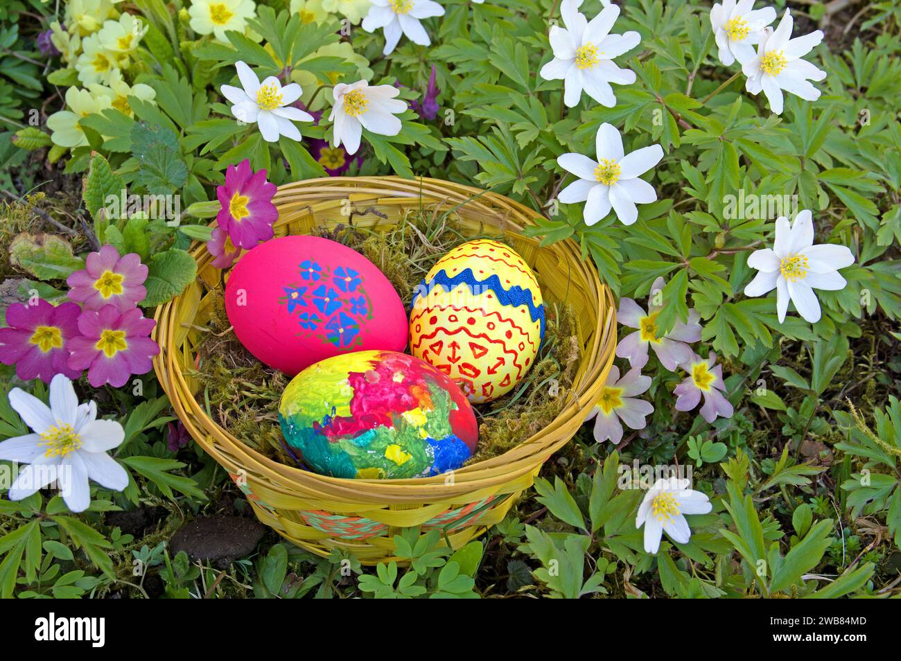 Eier färben und im Freien zu verstecken, ist in Deutschland ein Osterbräuche. Stockfoto