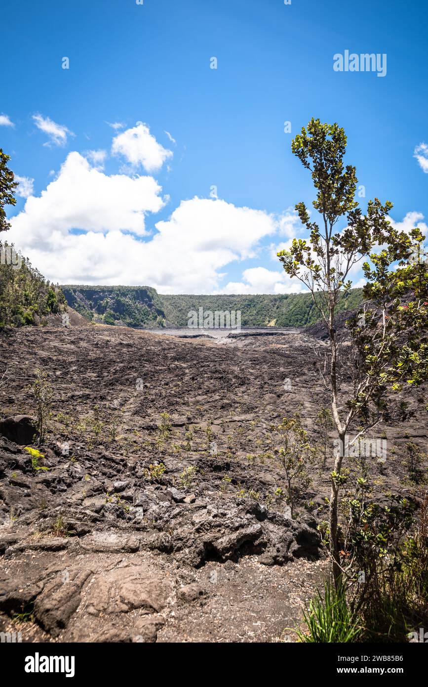 Big Island Hawaii, Vulcano-Nationalpark Stockfoto