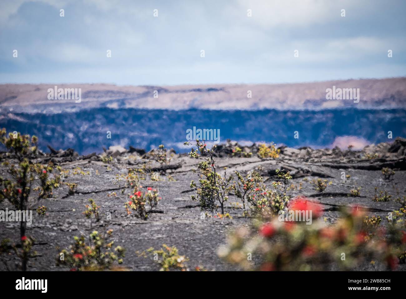 Big Island Hawaii, Vulcano-Nationalpark Stockfoto