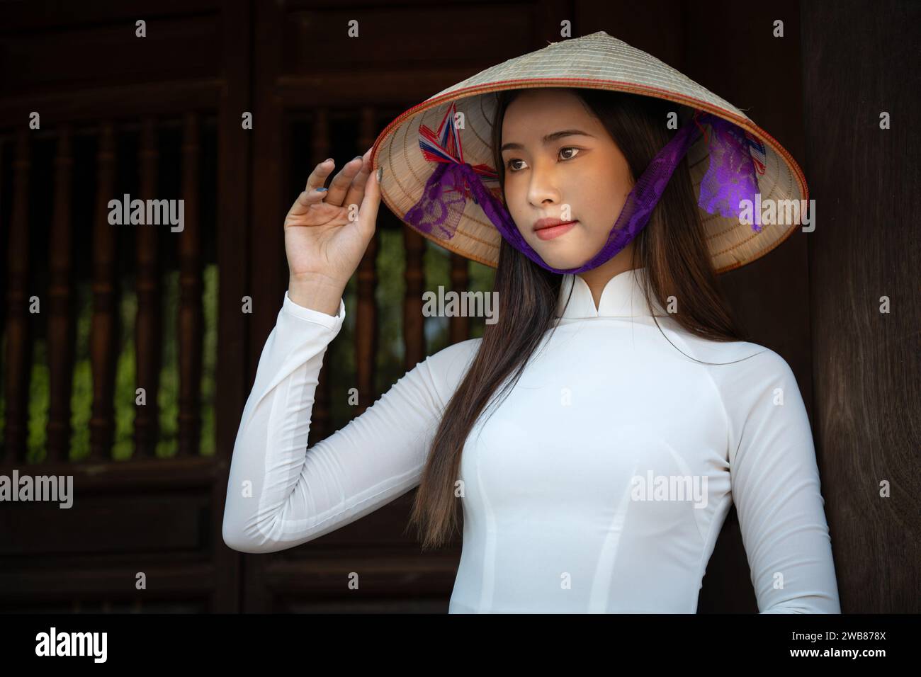 Porträt einer schönen Frau in traditionellem vietnamesischem Ao Dai Kleid im Tempel der Literatur, Hanoi, Vietnam Stockfoto