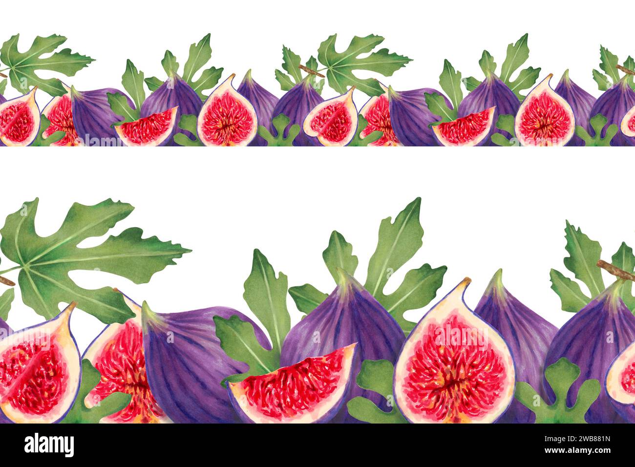 Nahtloser Feigenrand für Frucht. Hälften, ganz, lila Feigen mit Blättern. Handgezeichneter Marker und Aquarellillustration. Horizontales Banner oder Rahmen Stockfoto