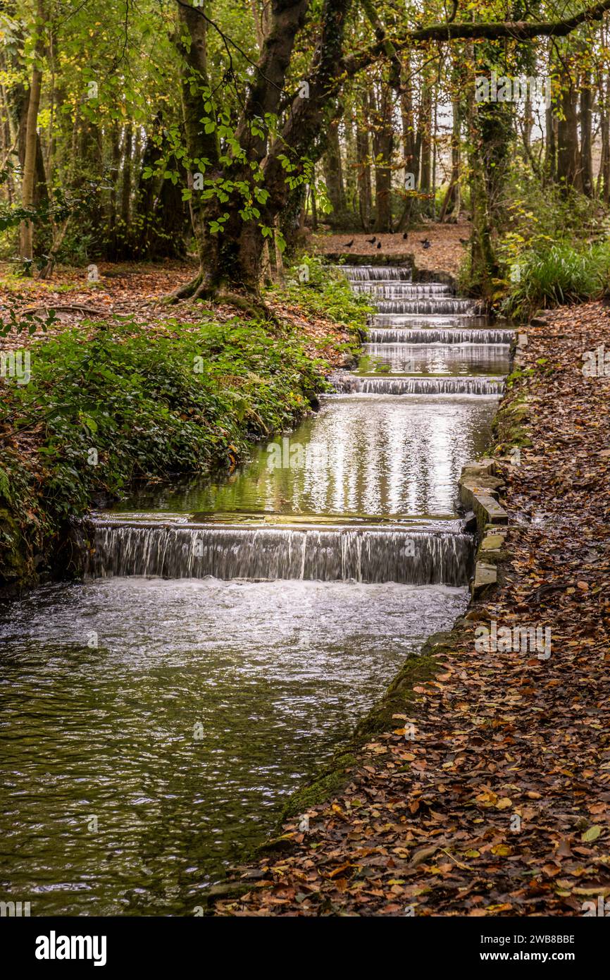 Der Tehidy Stream fließt über eine Reihe von Kaskaden im Tehidy Woods Country Park in Cornwall, Großbritannien. Stockfoto