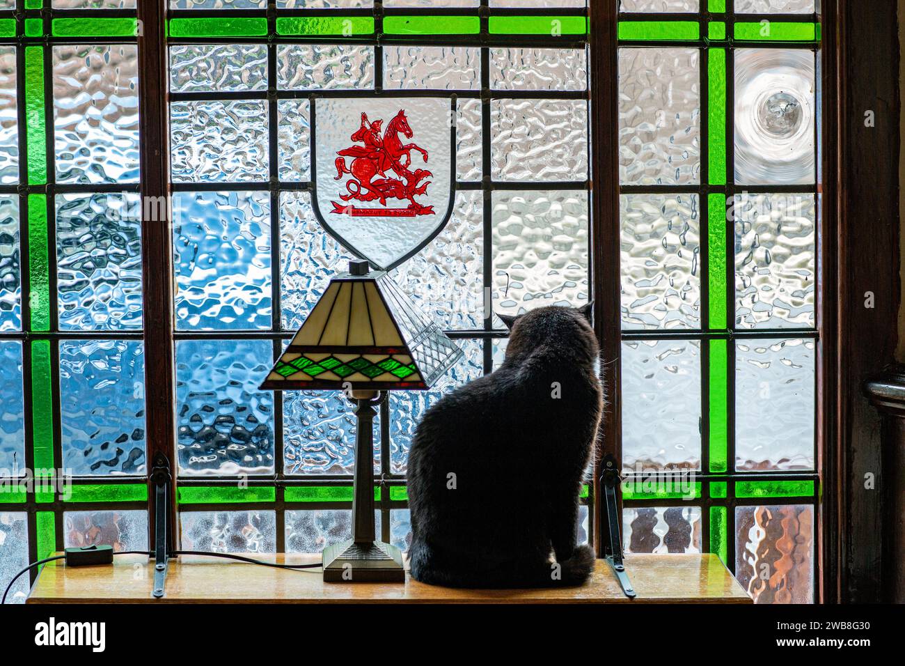 Aufmerksame Katze auf der Fensterbank im traditionellen englischen Pub Stockfoto