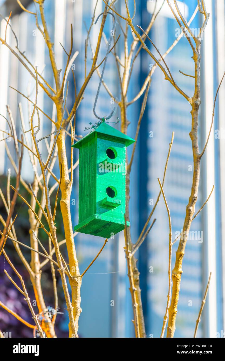 Mit einem Hochhaus im Hintergrund hängt ein grün bemalter, handgefertigter Vogelkasten an einem Baum in den Royal Botanic Gardens in Sydney, Australien Stockfoto