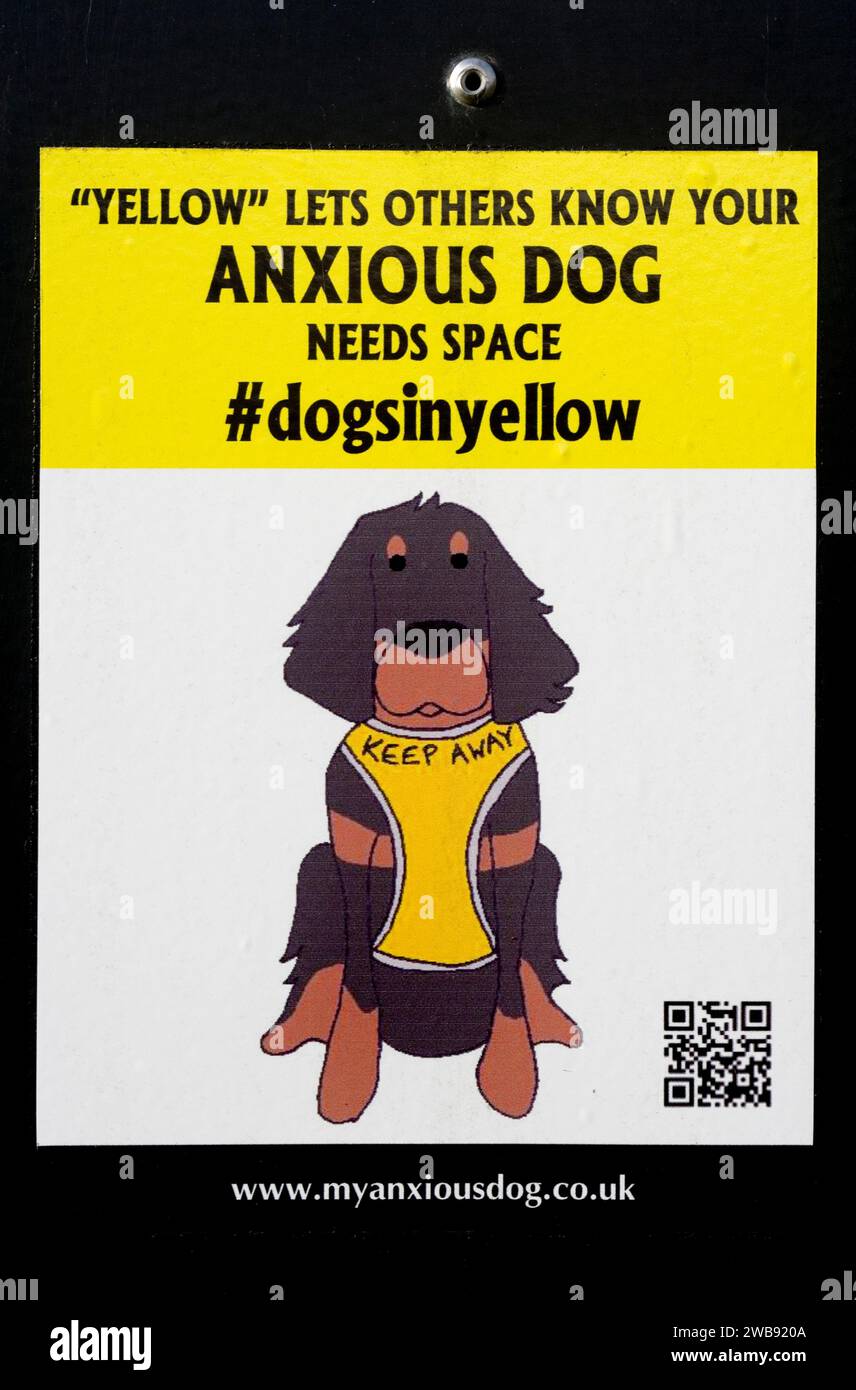 Poster "Mein Besorgter Hund" Stockfoto