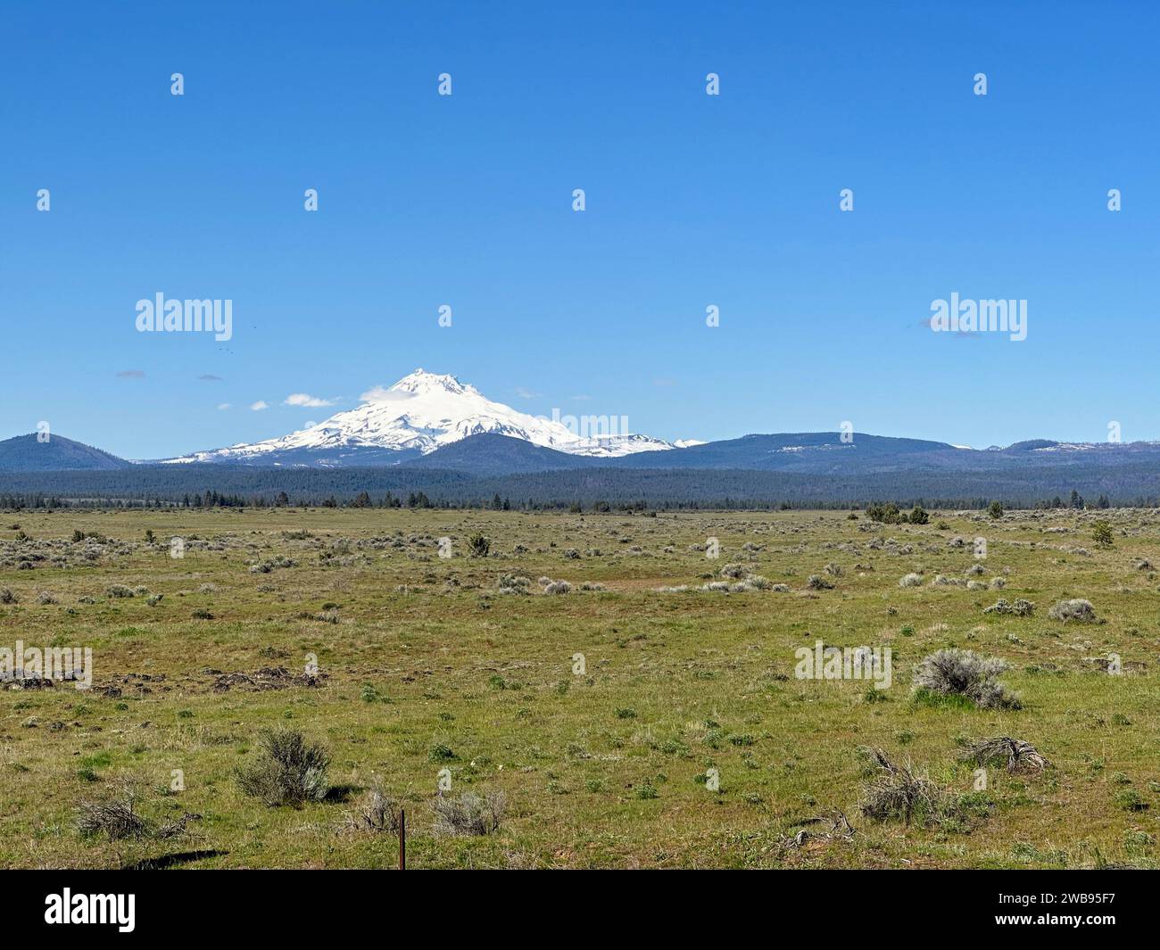 Eine malerische Landschaft im Freien mit üppigem Gras, hohen Bäumen und majestätischen Bergen im Hintergrund Stockfoto