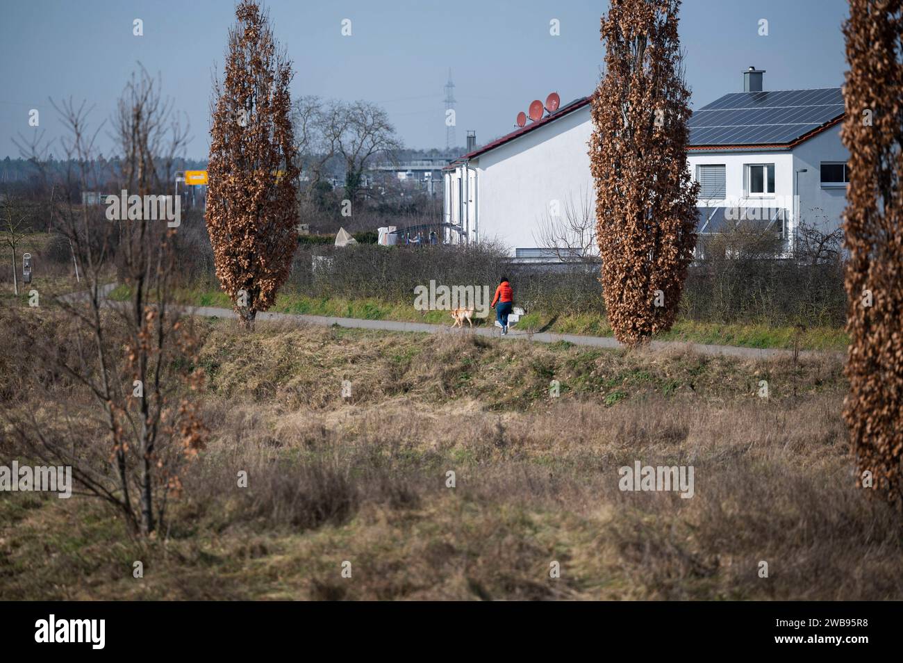 Walldorf - Katzen dürfen nicht nach draußen 16.02.2023 Walldorf die Haubenlerche brütet im Wohngebiet, Ausgangssperre für Walldorfer Katzen beginnt bald wieder. Im Bild: Potenzielles Brutgebiet. Walldorf Walldorf Baden-Württemberg Deutschland *** Walldorfkatzen sind nicht erlaubt außerhalb 16 02 2023 Walldorf die Haubenlarche brütet im Wohngebiet, Ausgangssperre für Walldorfkatzen wird bald wieder im Bild potentielles Zuchtgebiet Walldorf Baden Württemberg Deutschland beginnen Stockfoto