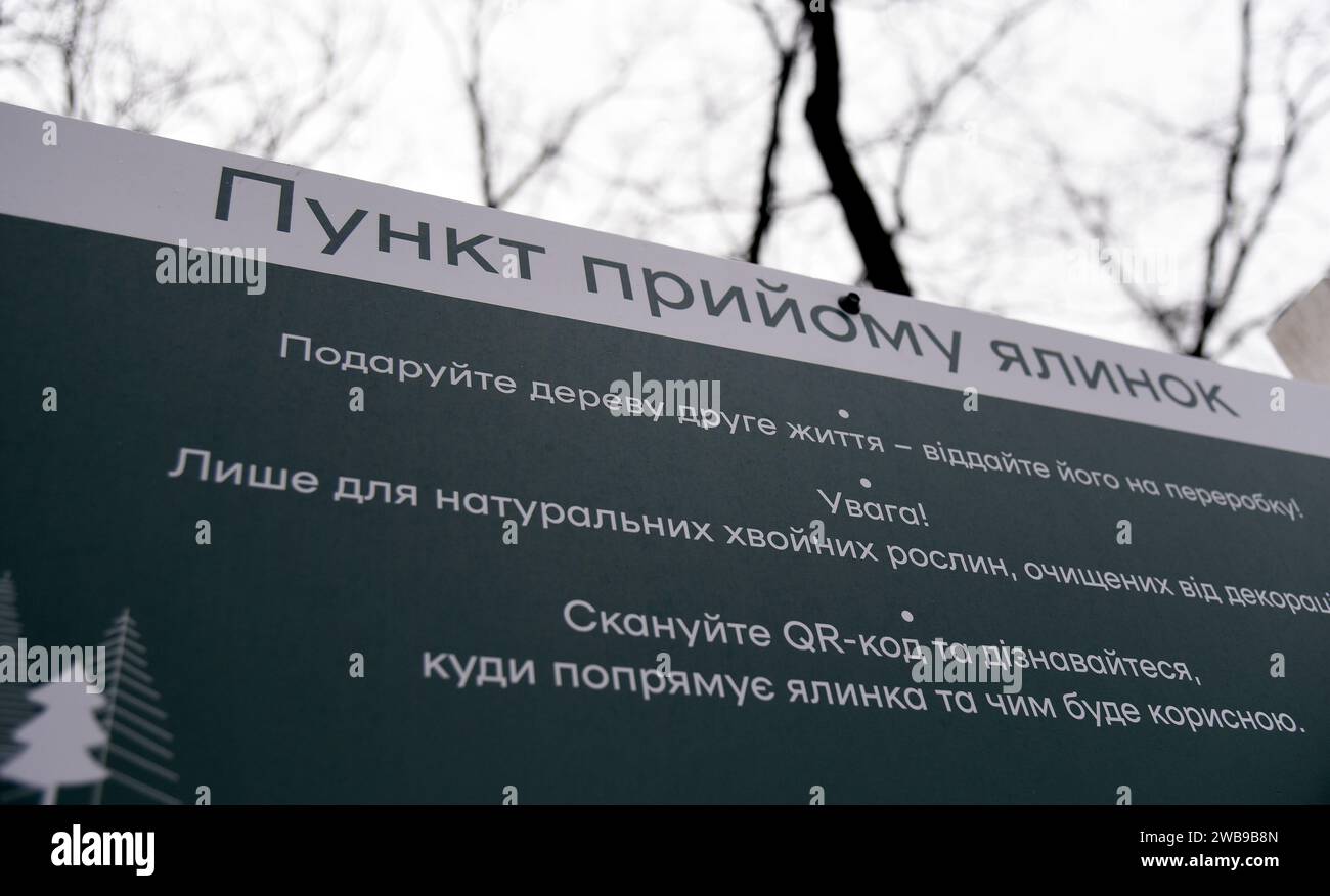 Nicht exklusiv: KIEW, UKRAINE - 09. JANUAR 2024 - Sammelstelle für Weihnachtsbäume für ökologisches Recycling im Yunist Park im Bezirk Sviatoshyno Stockfoto