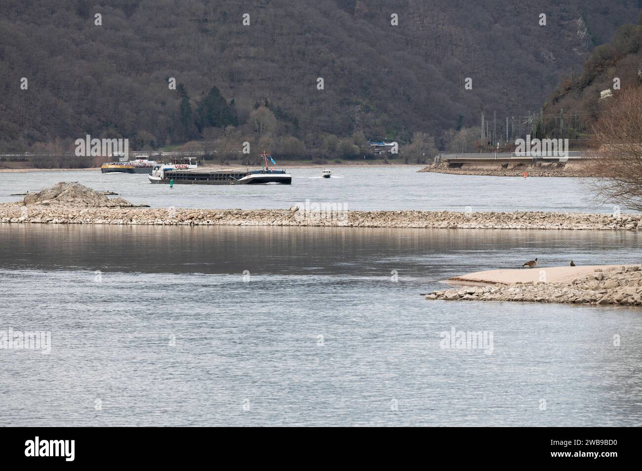 Trockenheim am Rhein 26.02.2023 Bingen Trockenheim, bereits im Februar führt der Rhein weniger Wasser, Sandbänke kommen zum Vorschein. Schiffe nahe des Bingener Mäuseturm. Bingen Bingen Rheinland-Pfalz Deutschland *** Trockenheim am Rhein 26 02 2023 Bingen Trockenheim, bereits im Februar trägt der Rhein weniger Wasser, Sandbänke erscheinen Schiffe nahe dem Bingener Mäuseturm Bingen Bingen Rheinland-Pfalz Deutschland Stockfoto