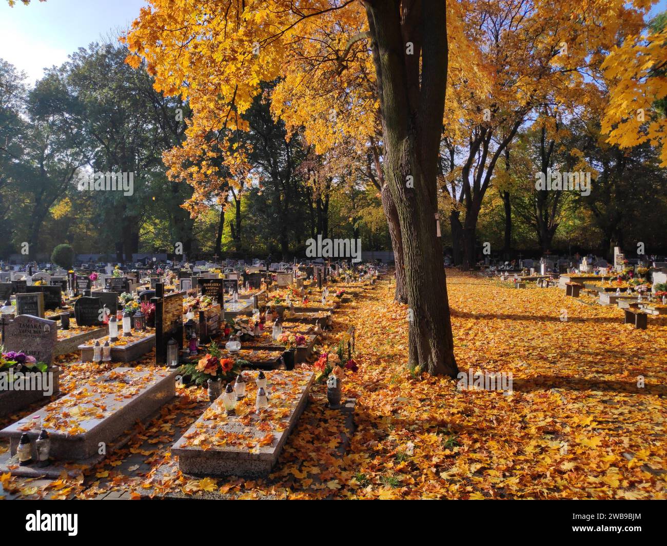BYTOM, POLEN - 25. OKTOBER 2020: Kerzen an den Gräbern auf einem Friedhof zum Allerheiligen (Wszystkich Swietych) in Polen. Stockfoto
