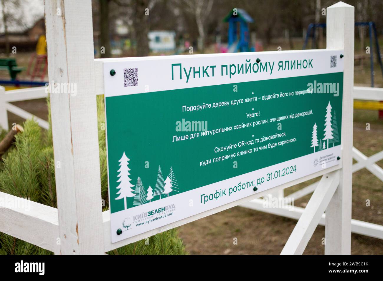 KIEW, UKRAINE - 09. JANUAR 2024 - Sammelstelle für den Weihnachtsbaum für das ökologische Recycling an der Ecke Symyrenko und Hryhorovych-Barskyi Straßen Stockfoto