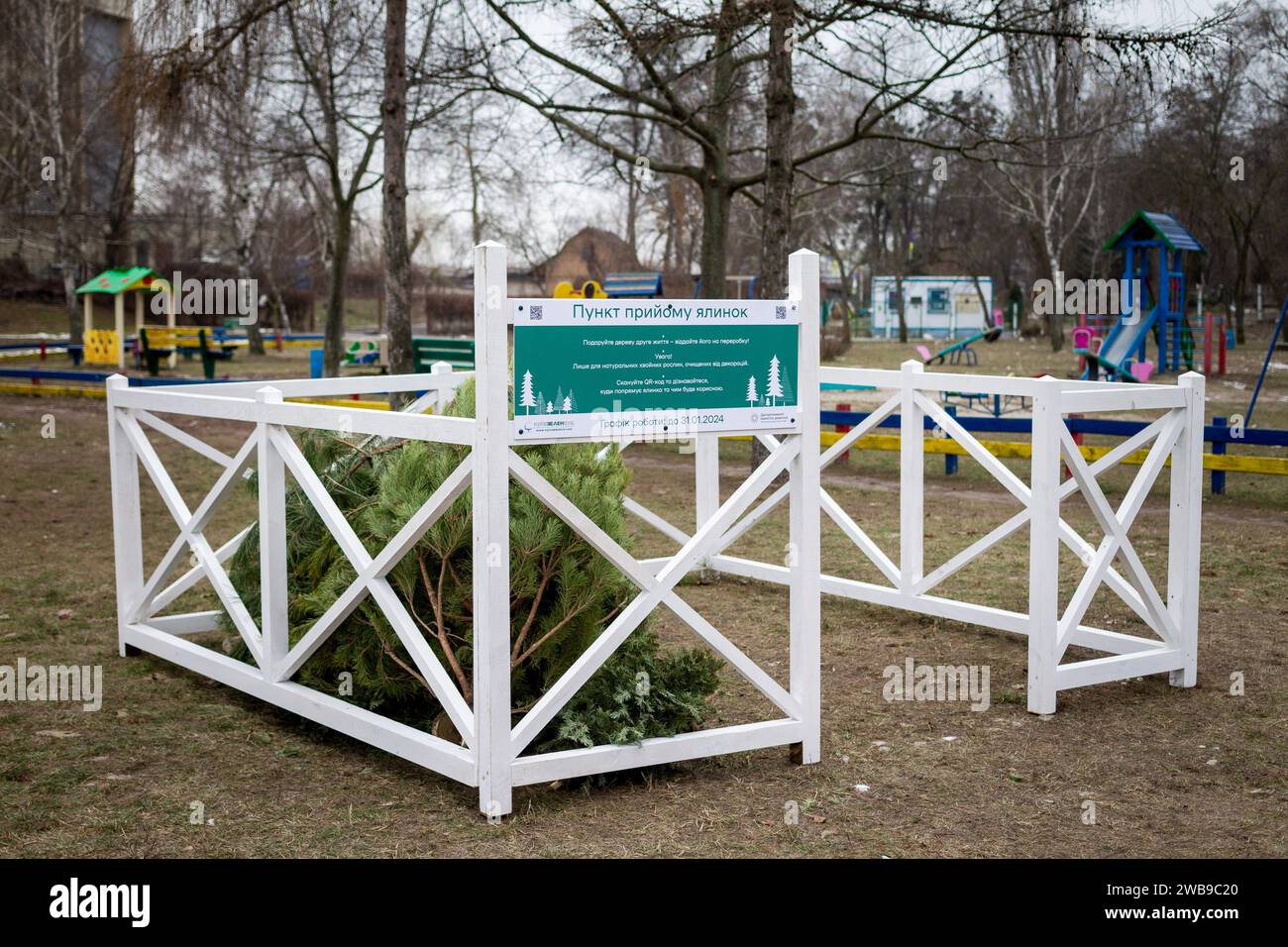 KIEW, UKRAINE - 09. JANUAR 2024 - Sammelstelle für den Weihnachtsbaum für das ökologische Recycling an der Ecke Symyrenko und Hryhorovych-Barskyi Straßen Stockfoto