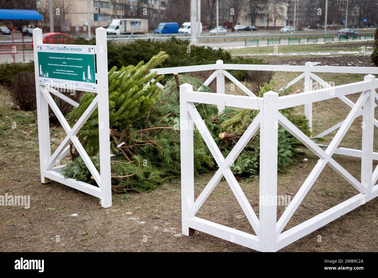 KIEW, UKRAINE - 09. JANUAR 2024 - Sammelstelle für den Weihnachtsbaum für das ökologische Recycling an der Ecke Symyrenko und Hryhorovych-Barskyi Straßen Stockfoto