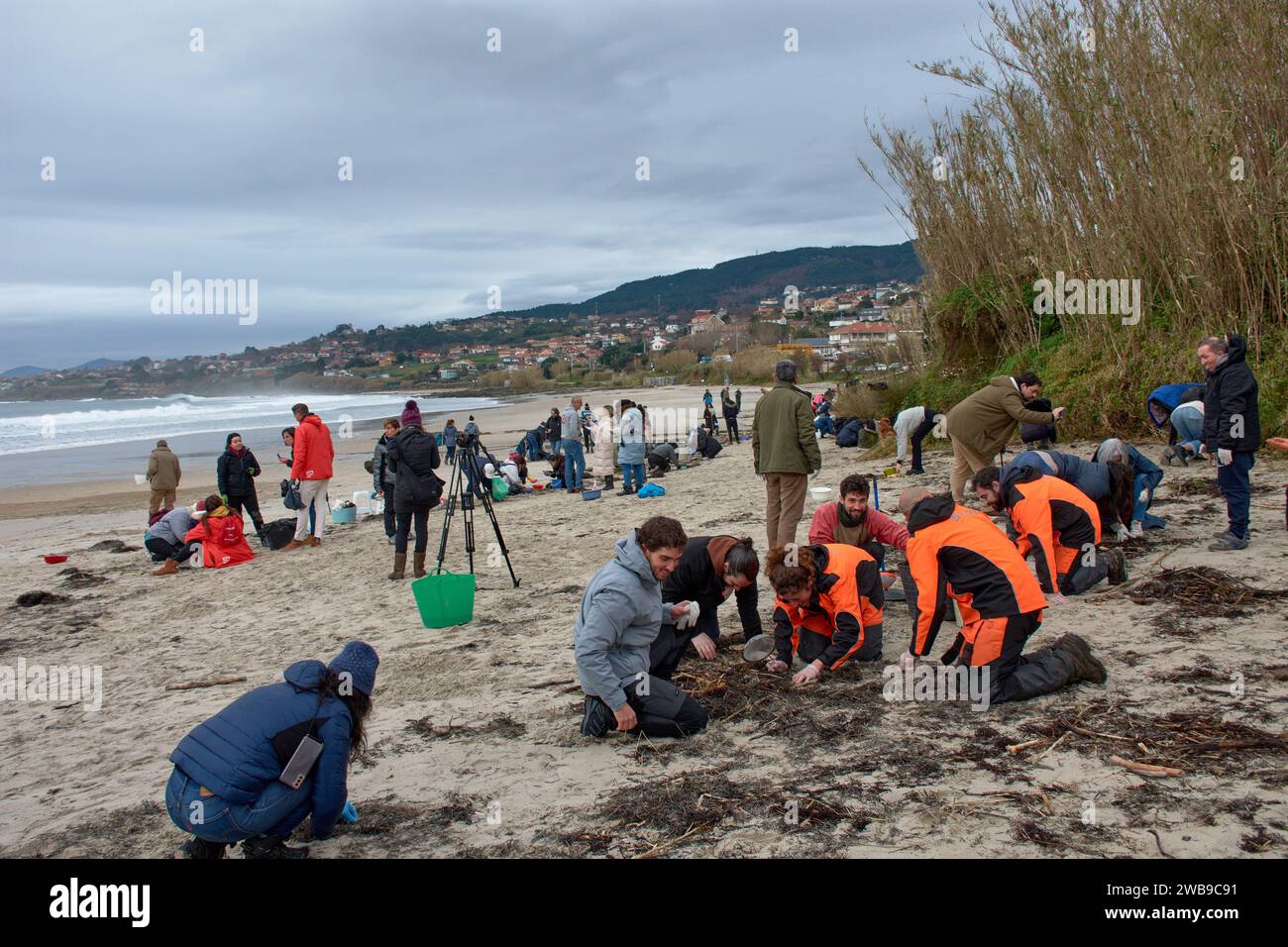 Zahlreiche Freiwillige gingen an die Strände von Galicien, um Plastikgranulat zu sammeln, das auf ein Boot gefallen war, mit einfachen Werkzeugen wie Trichtern, Sieben, Stockfoto