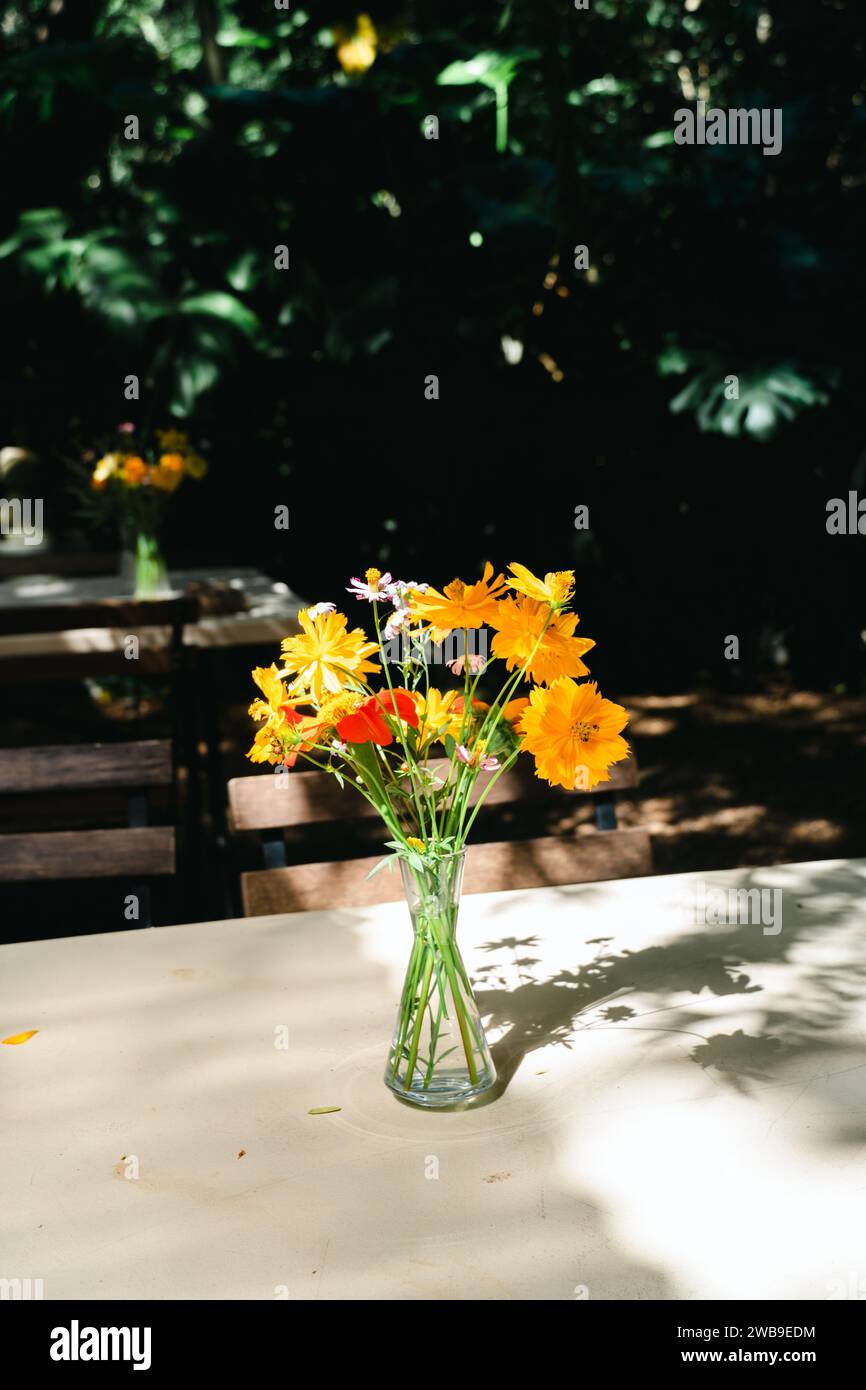 Sommerparty im Freien. Sommer oder Frühling schöner Garten mit Gänseblümchen. Ein gelber Blumenstrauß in einer transparenten Vase auf dem Tisch. Stillleben Sie Stockfoto