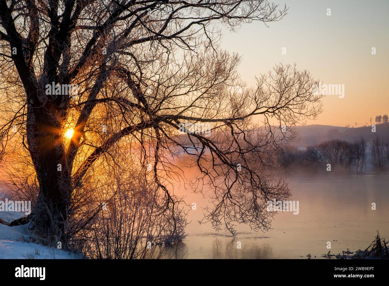 Sonnenaufgang über einem See an einem kalten, eiskalten Wintermorgen, Waldviertel, Österreich Stockfoto