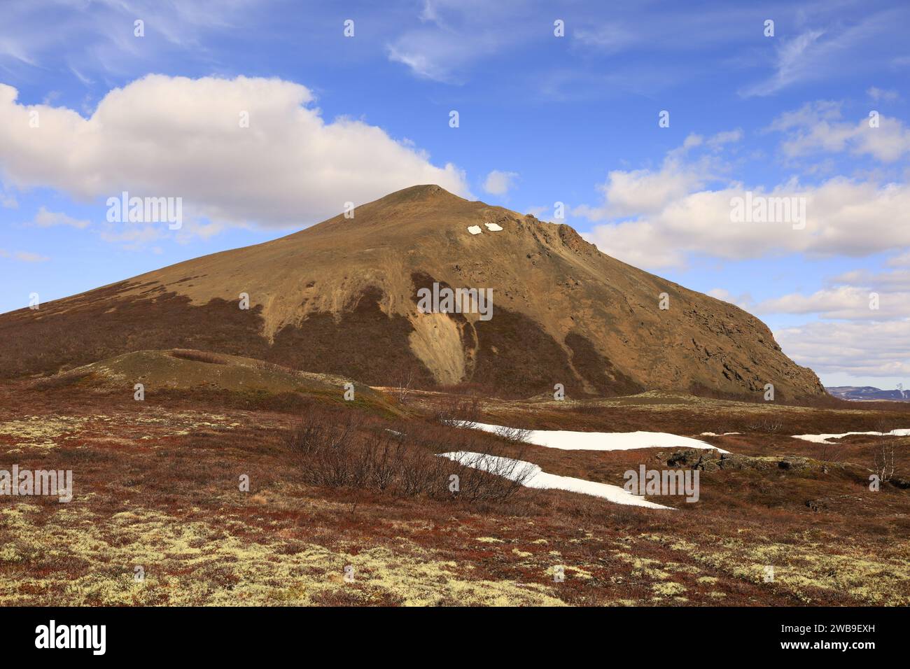 Blick auf den Myvtan-Nationalpark im Norden Islands in der Nähe des Krafla-Vulkans Stockfoto
