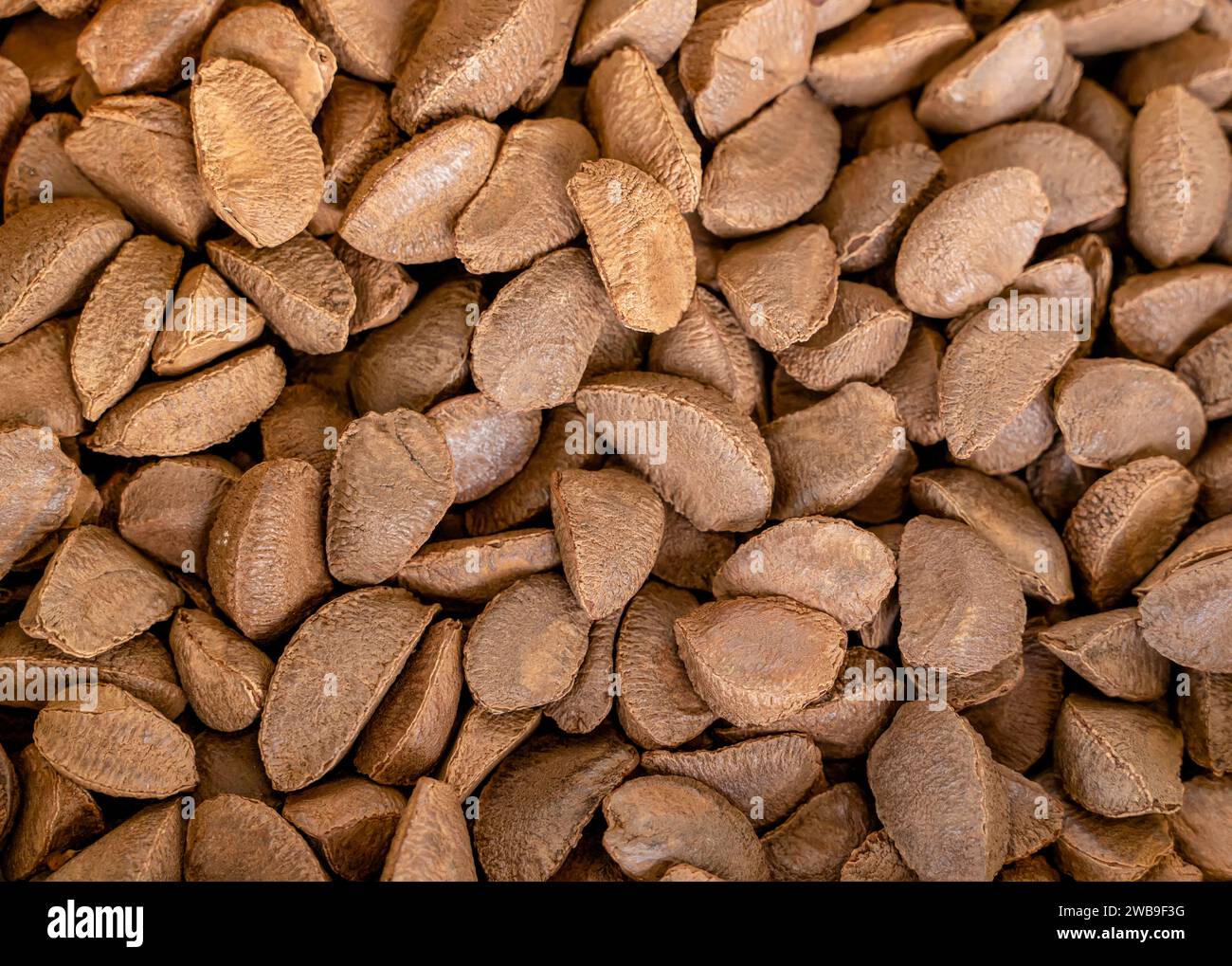 Paranuss, Butter Nuss, Sahne Nuss, Abs. Nuß (Bertholletia Excelsa), viele Paranüsse Stockfoto