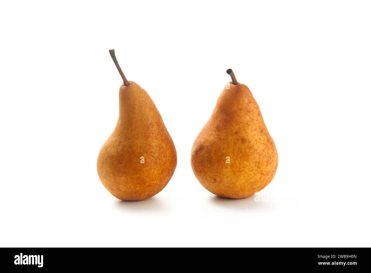 Zwei reife saftige Birnenfrüchte mit weichem Schatten isoliert auf weißem Hintergrund mit Schnittpfad. Stockfoto