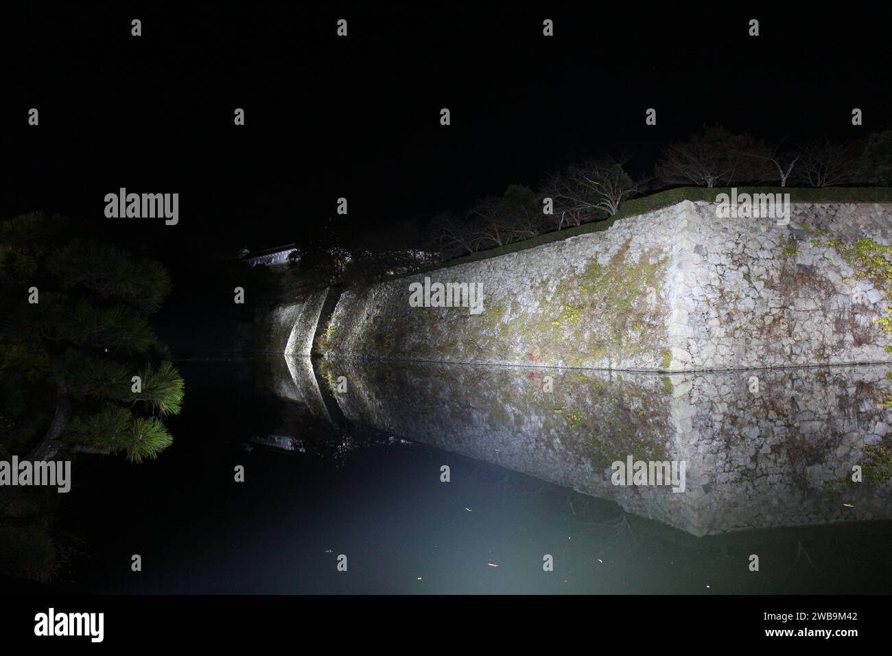 Nächtlicher Blick auf die Steinmauer der Burg Himeji in Himeji, Japan Stockfoto