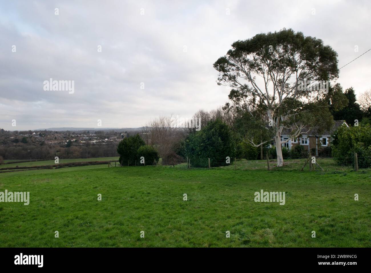 Whatcombe Fields, Frome, Somerset, England, Großbritannien Stockfoto
