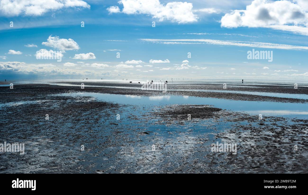 Endloses wattenmeer 2 Stockfoto