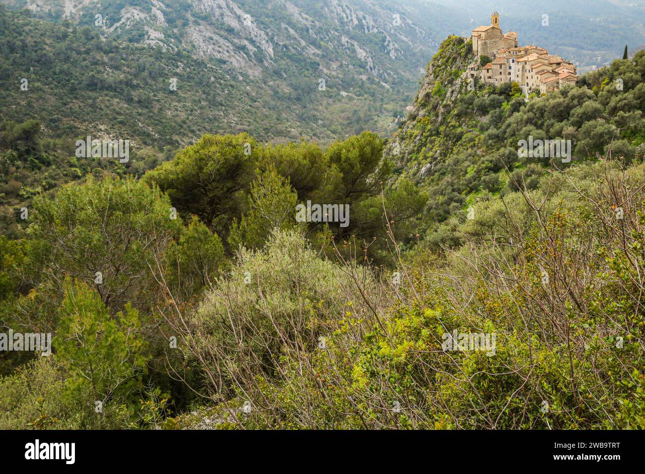 Der Busch um Peillon, ein hoch sitzendes Dorf auf einem bewaldeten Hügel im Departement Alpes-Maritimes, Region PACA im Südosten Frankreichs Stockfoto