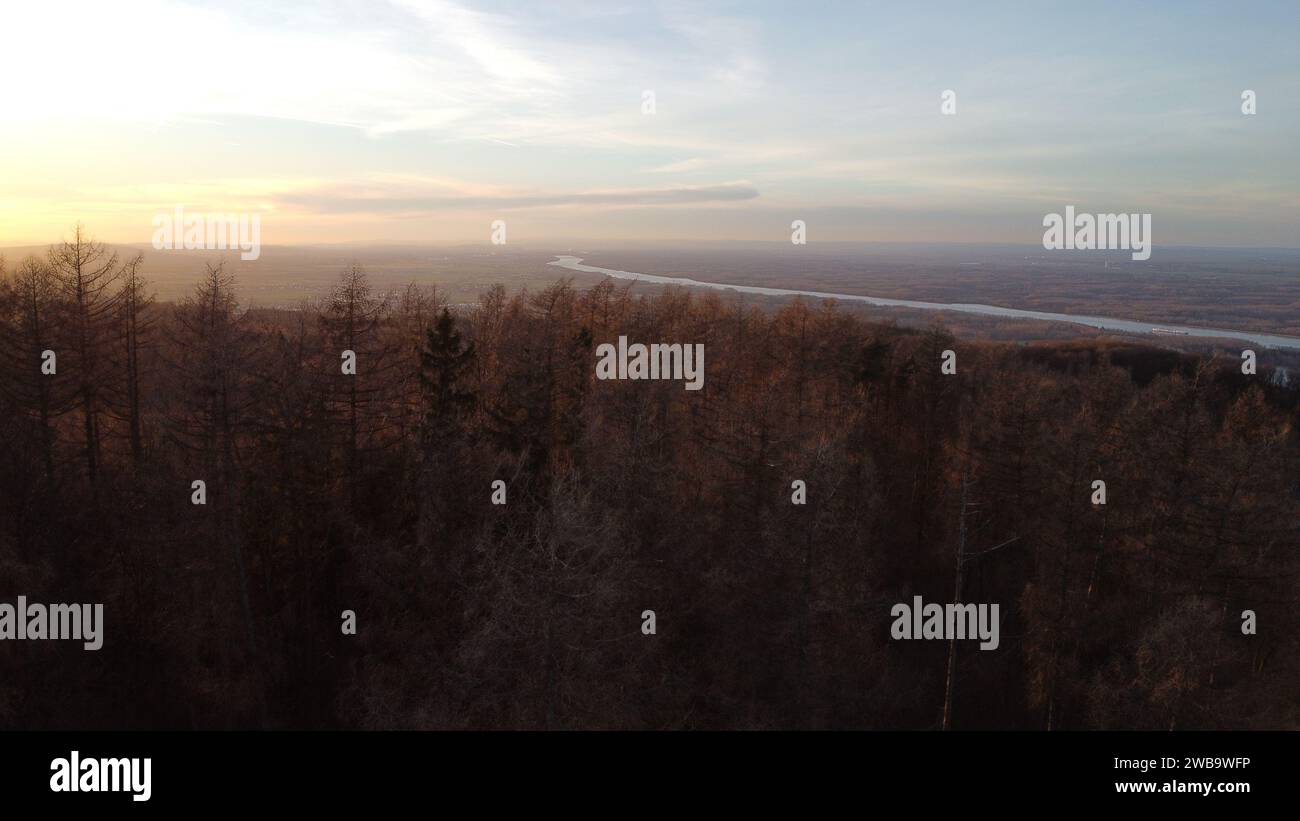 Ein kleiner Wald mit der Donau, die sich im Hintergrund durch die Landmassen schlängelt Stockfoto